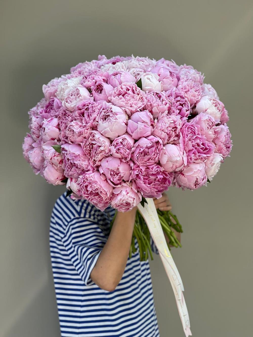 Peony Melody